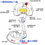 かねた整骨院