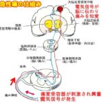 かねた整骨院